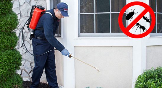 Yayladere Haşere İlaçlama böcek ilaçlama ve haşere kontrolü — ilaclama-tr.com